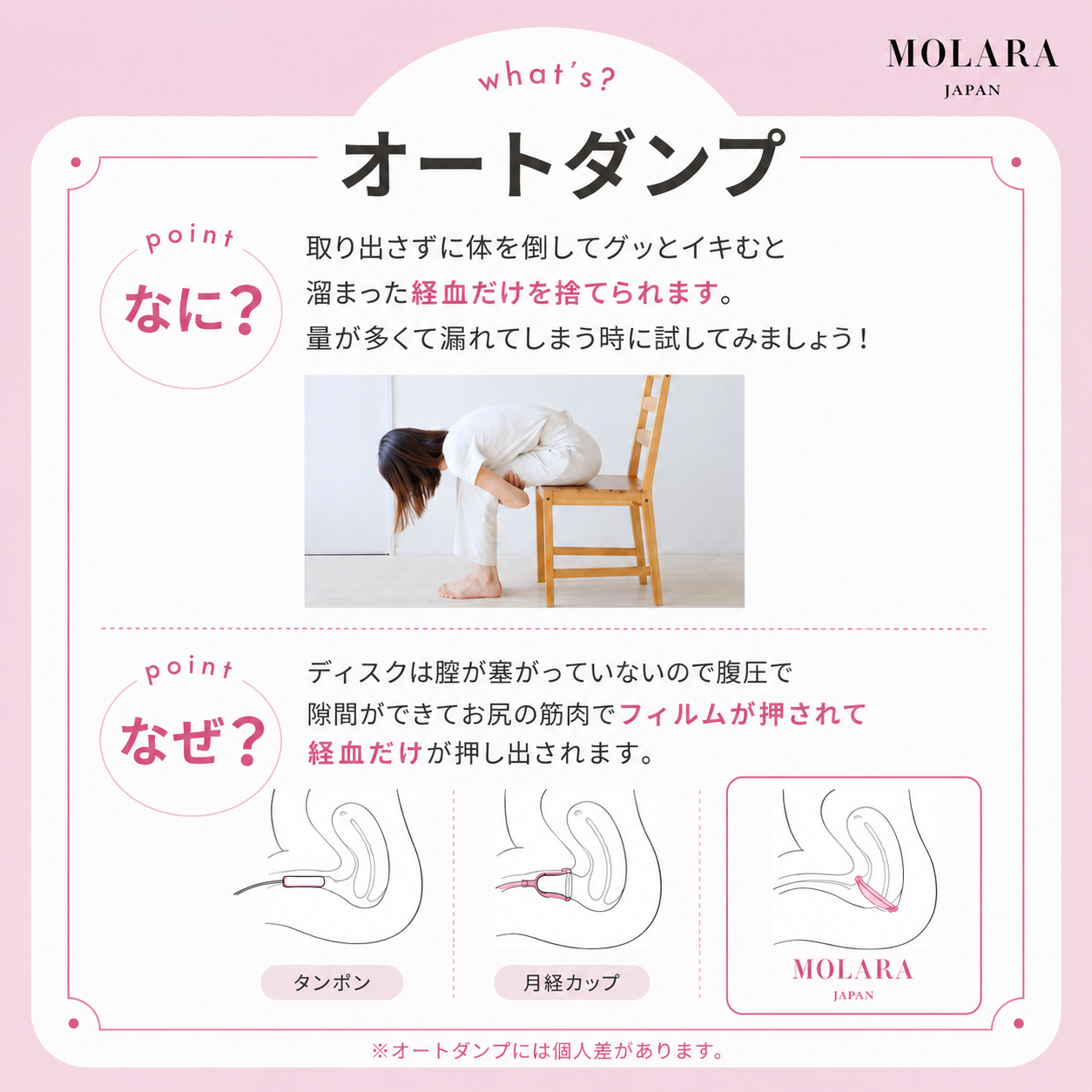MOLARA 1 day